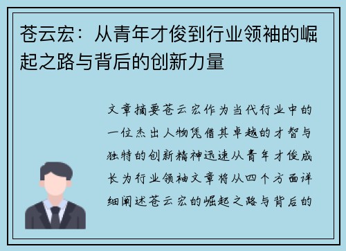 苍云宏：从青年才俊到行业领袖的崛起之路与背后的创新力量